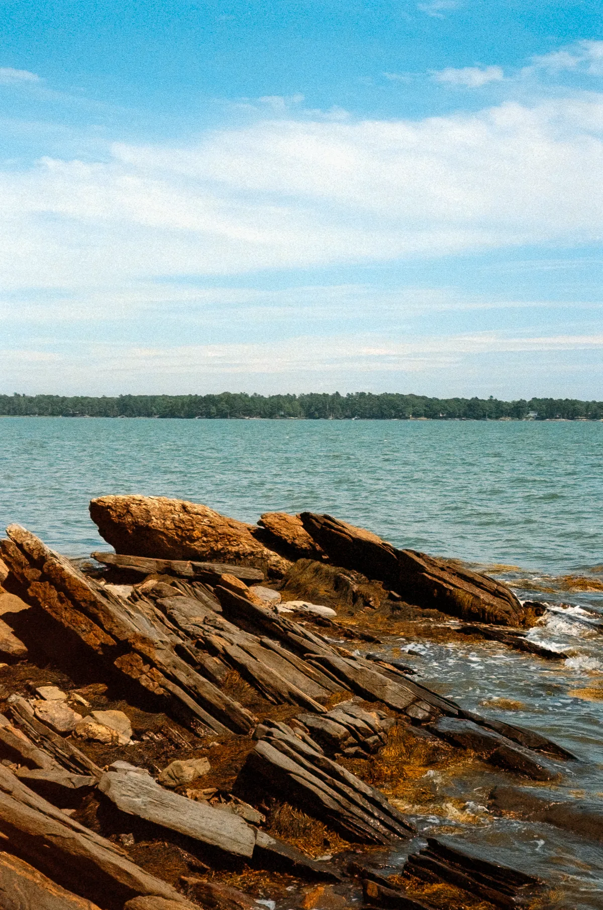 Triptych 3 Image