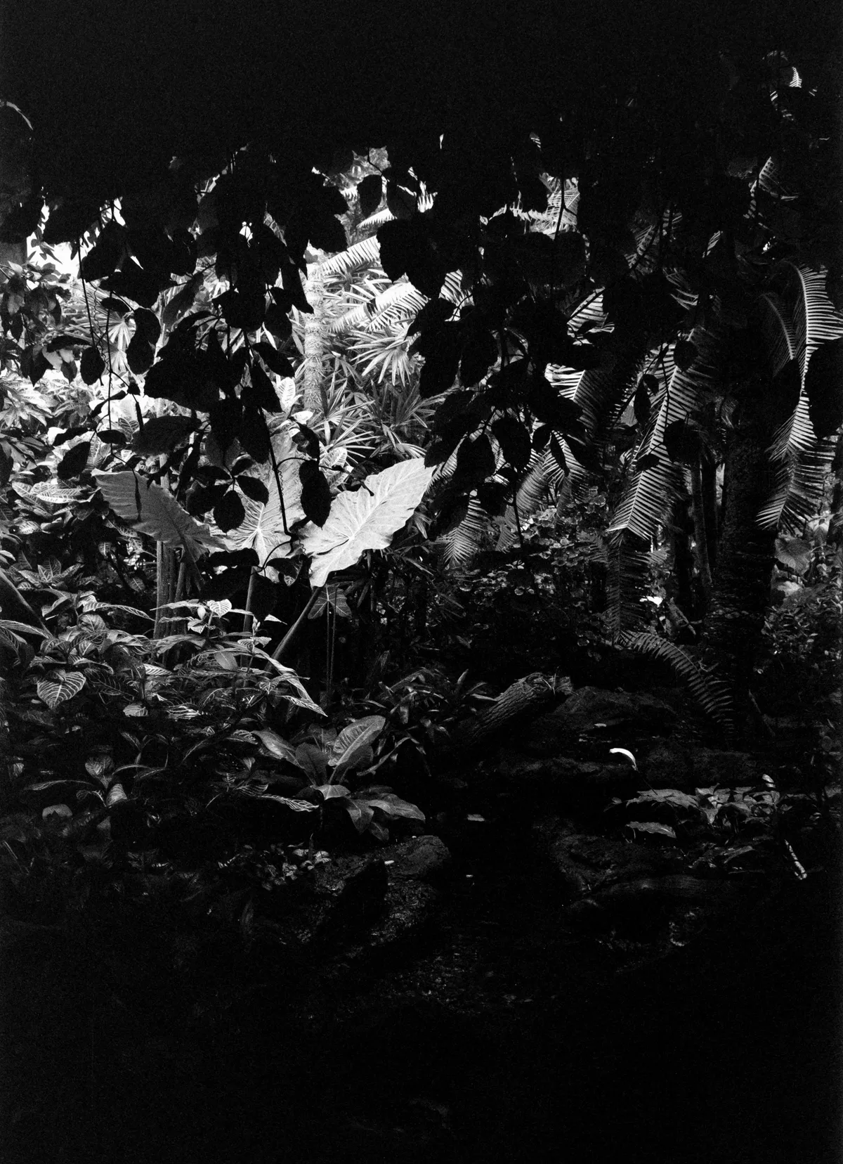 Triptych 1 Image