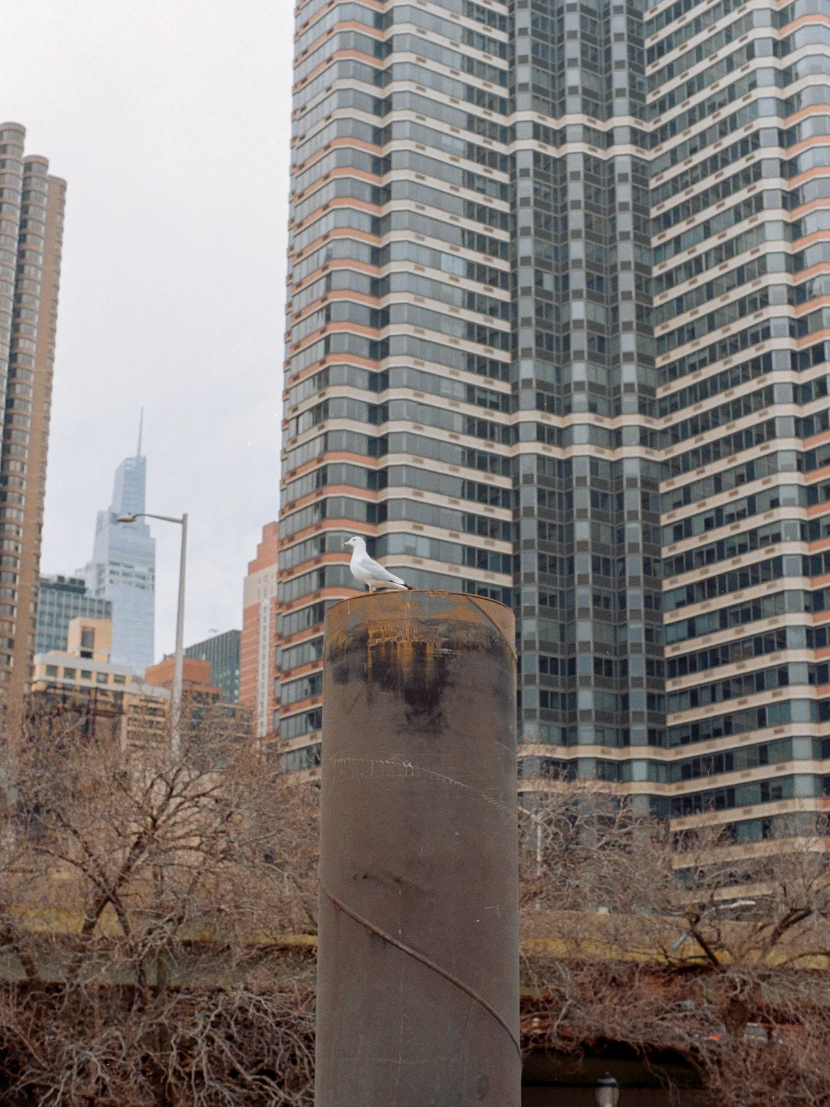Triptych 1 Image