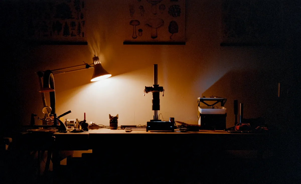 Panoramic image